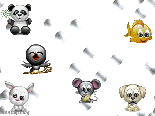 c koi tn animal préféré ?